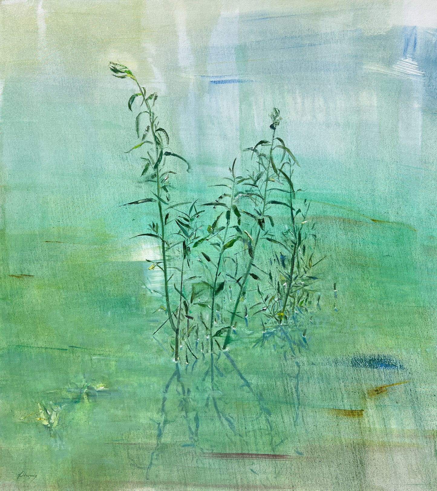 Willow Bay