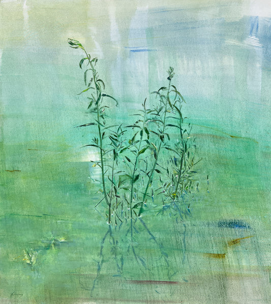 Willow Bay