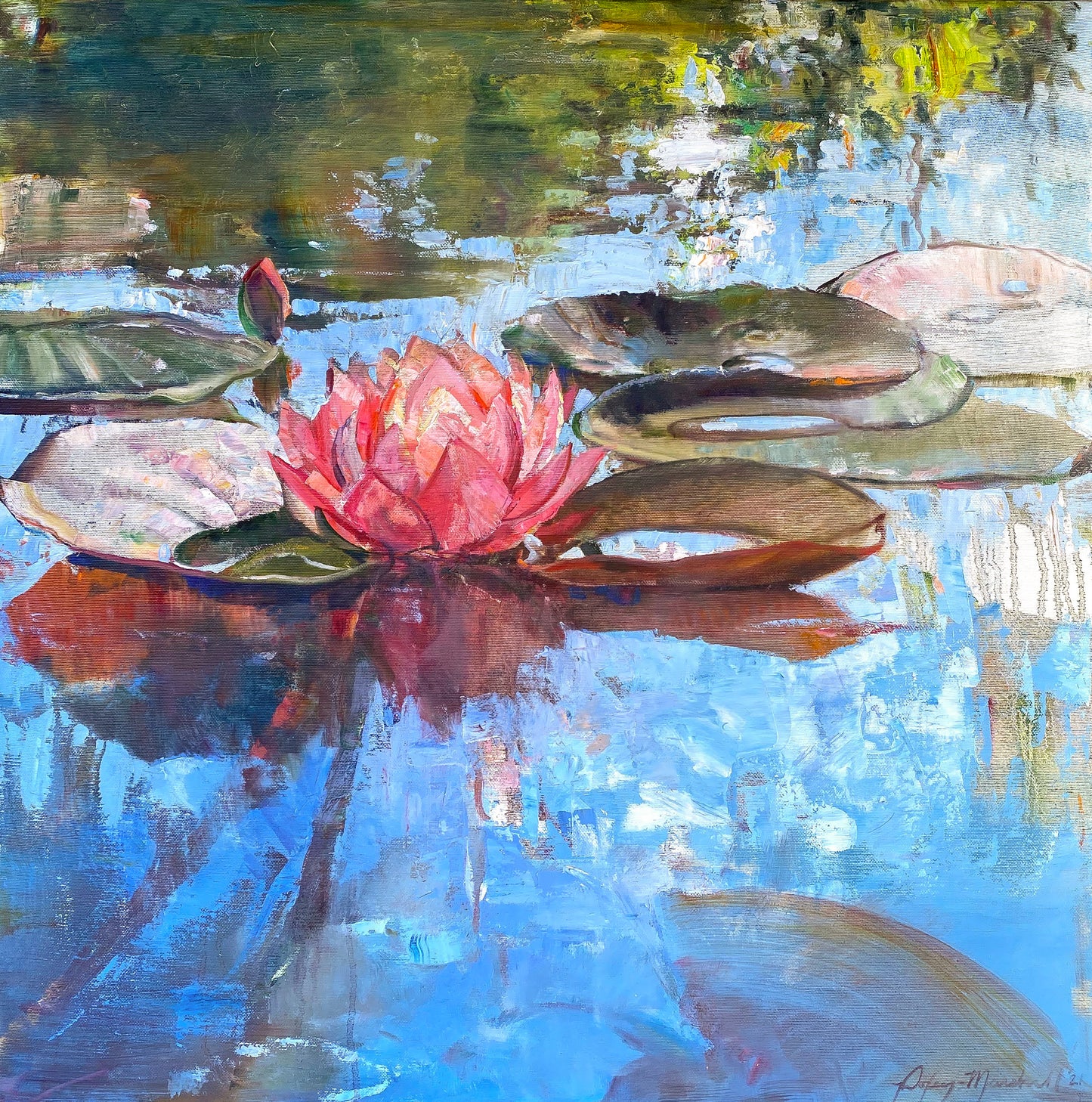 Pink Lily